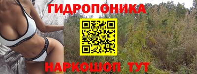 твердый Краснодар