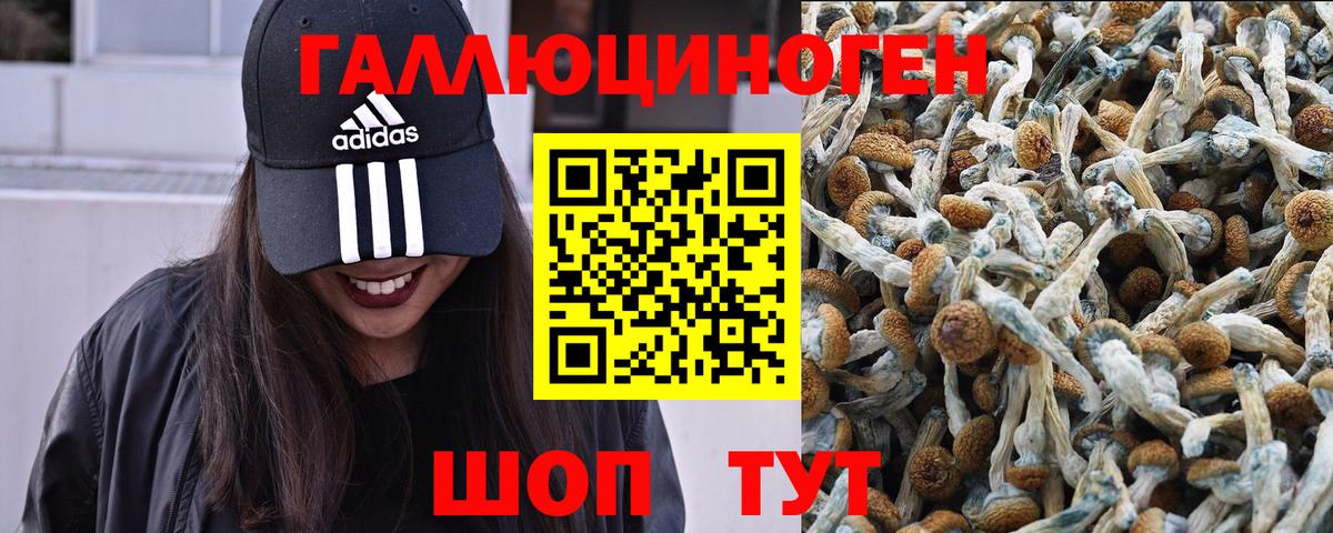 Псилоцибиновые грибы MAGIC MUSHROOMS  Галлюциногенные грибы мухоморы  Вход с VPN  Корсаков 