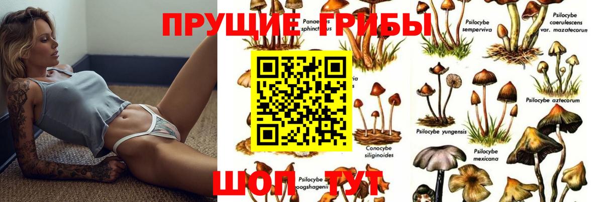 Галлюциногенные грибы прущие грибы Корсаков